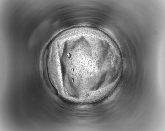 X0000088740843200706212055
