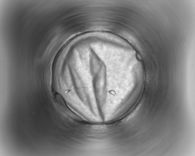 X0000088740844200706212055