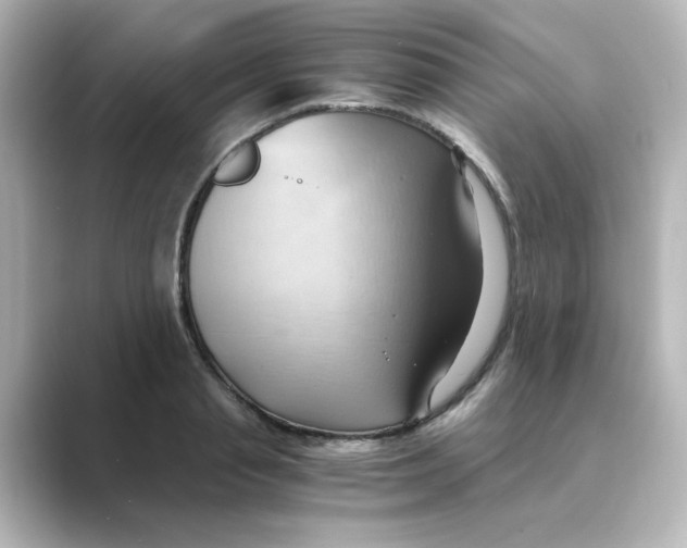 X0000088740845200706212055