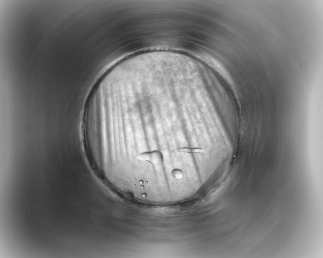 X0000088740847200706212055