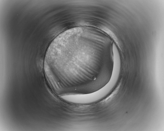 X0000088740849200706212055