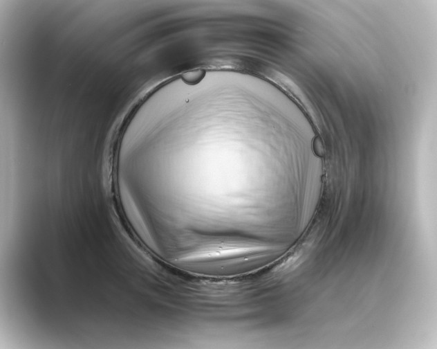 X0000088740851200706212055