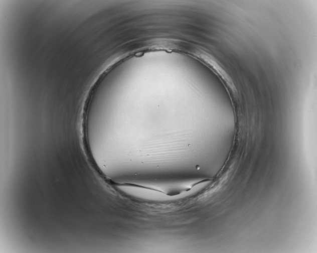 X0000088740853200706212055