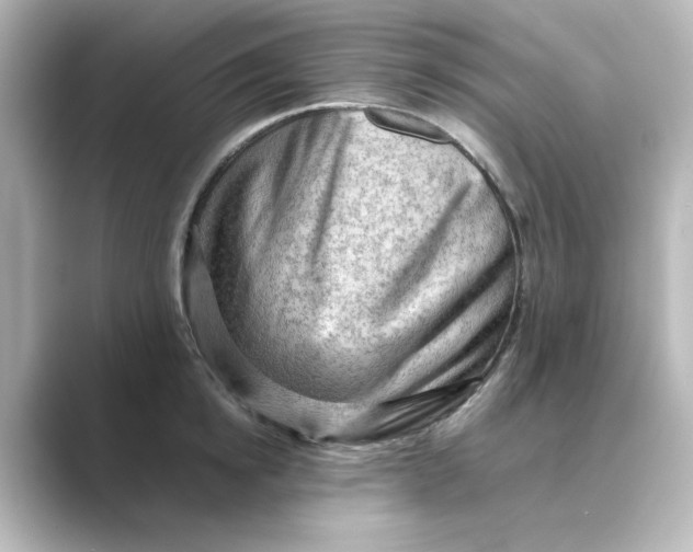 X0000088740854200706212055