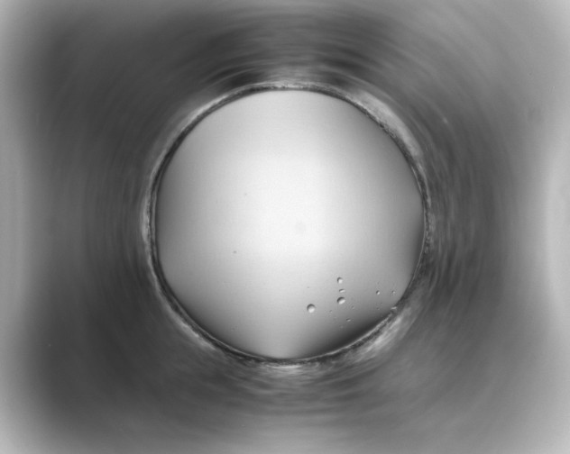 X0000088740855200706212055