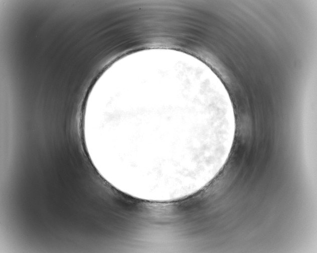 X0000088740856200706212055