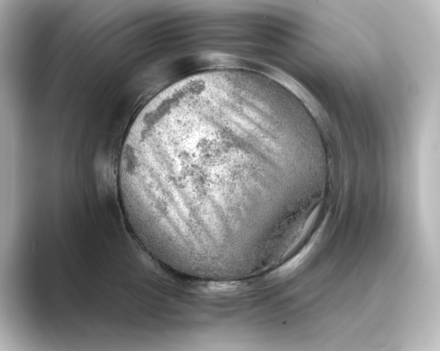 X0000088740857200706212055