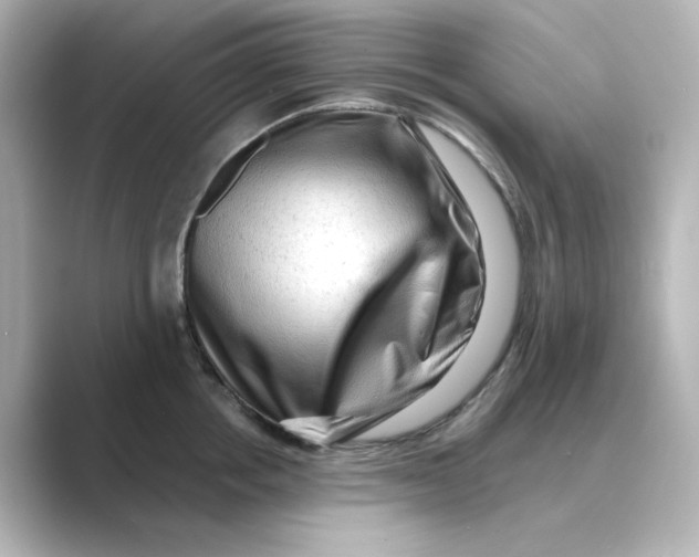 X0000088740858200706212055