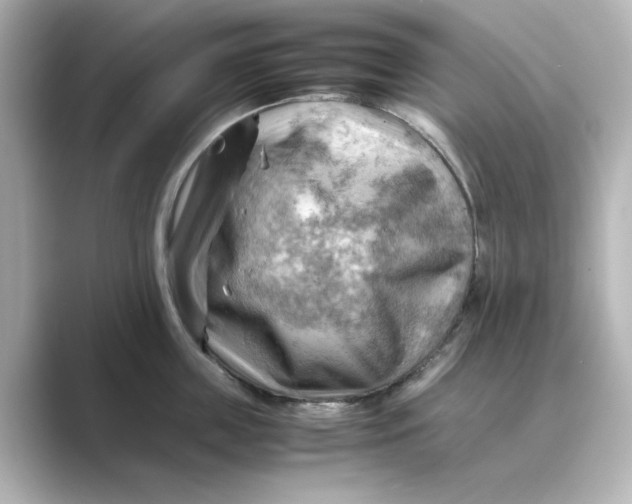 X0000088740859200706212055