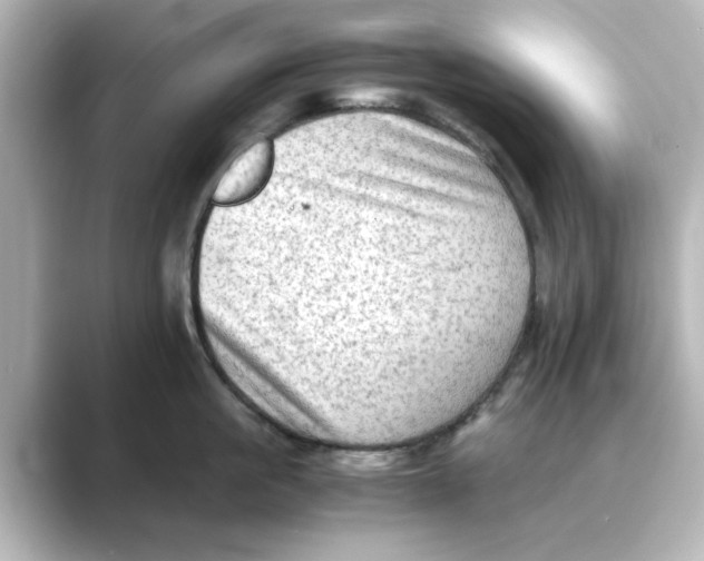 X0000088740861200706212055