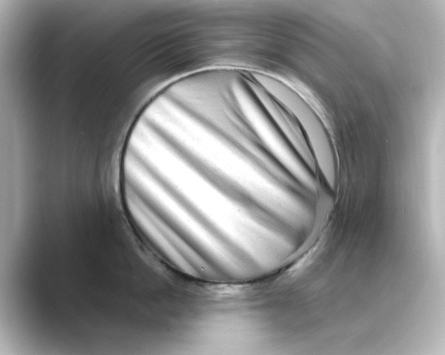 X0000088740862200706212055