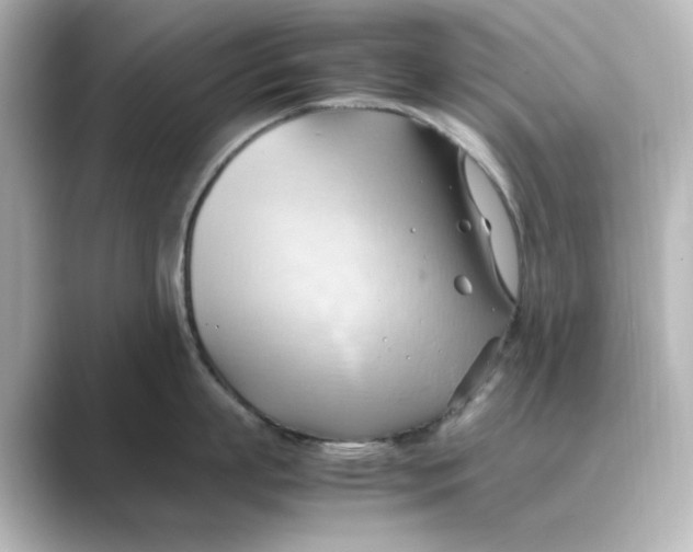 X0000088740863200706212055