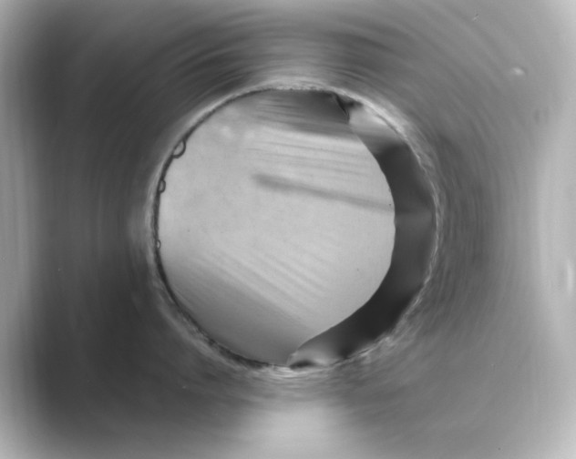 X0000088740864200706212055