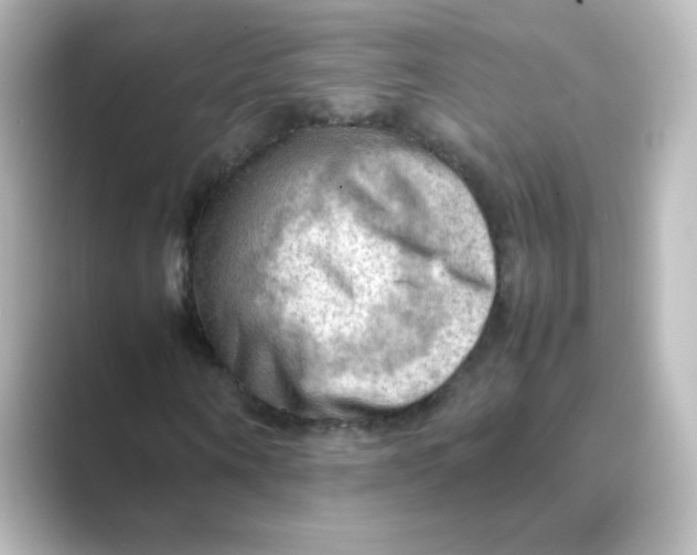 X0000088740866200706212055