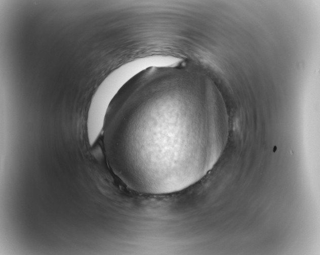 X0000088740868200706212055