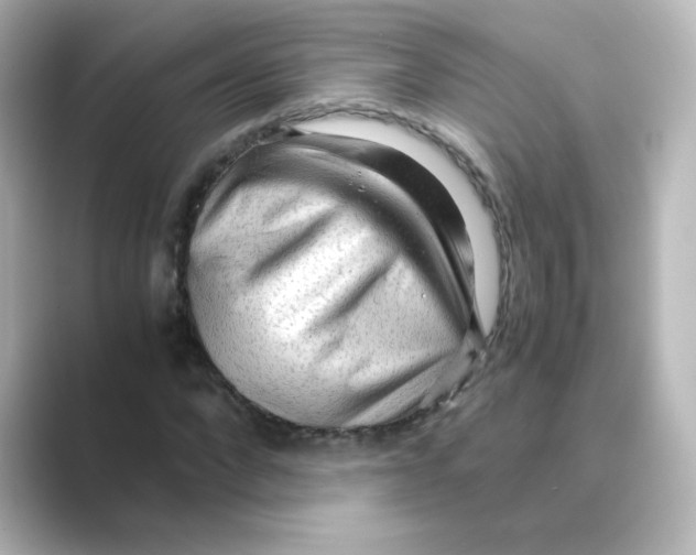 X0000088740872200706212055