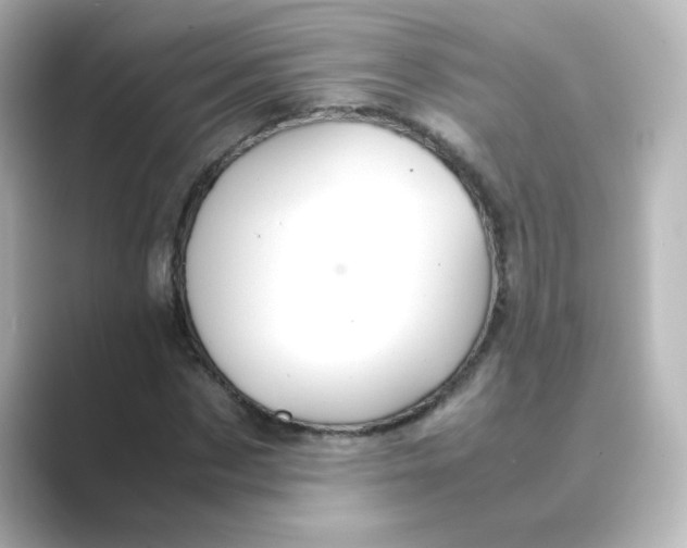 X0000088740873200706212055