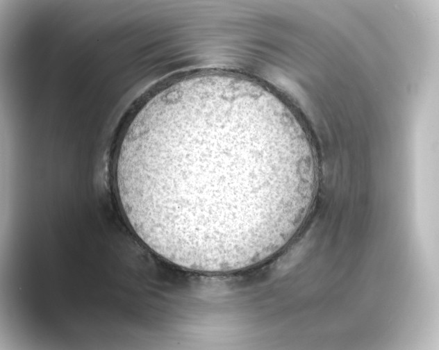 X0000088740875200706212055