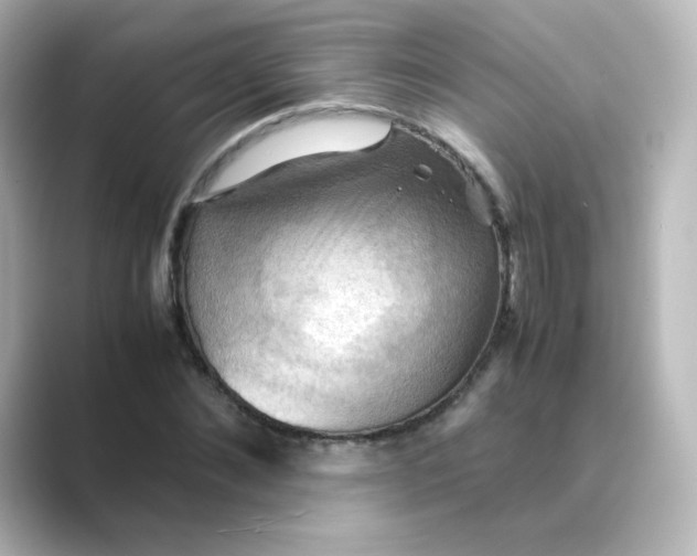 X0000088740876200706212055