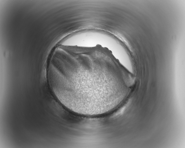 X0000088740877200706212055