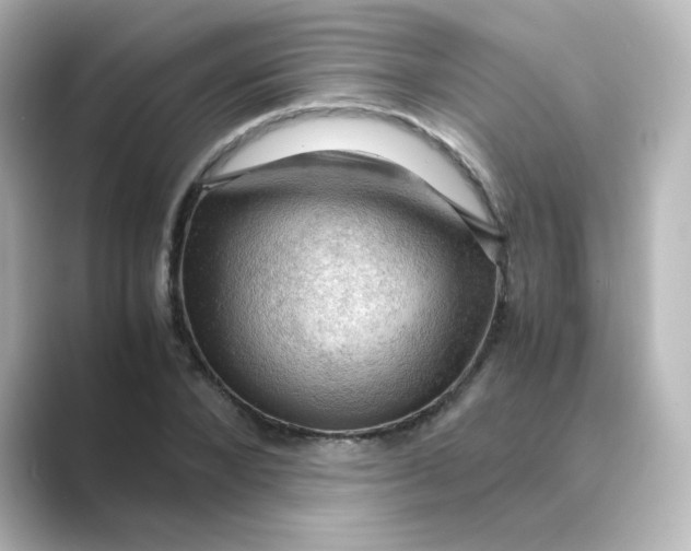 X0000088740880200706212055