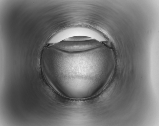 X0000088740881200706212055