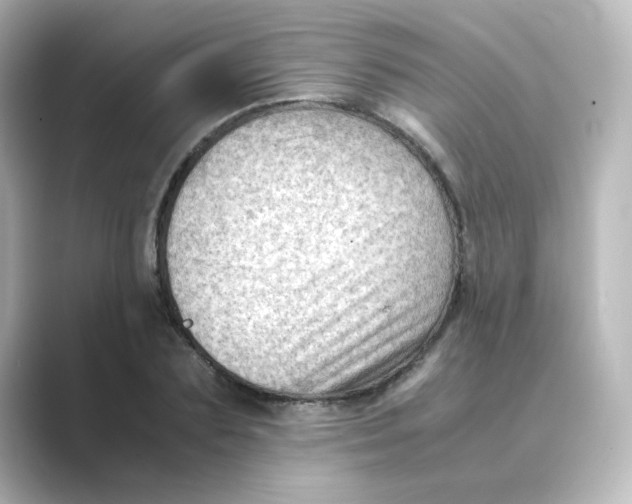 X0000088740883200706212055