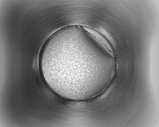 X0000088740884200706212055
