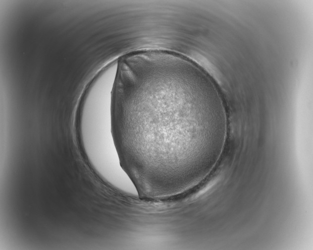 X0000088740885200706212055