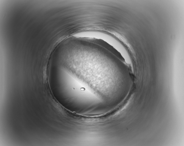 X0000088740889200706212055