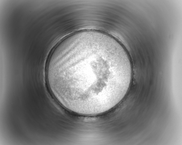 X0000088740890200706212055