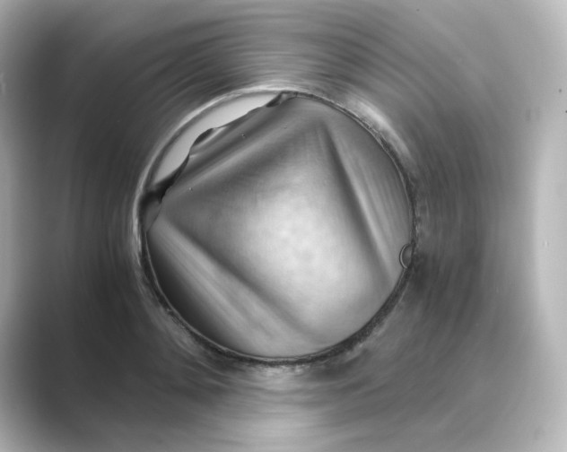 X0000088740892200706212055