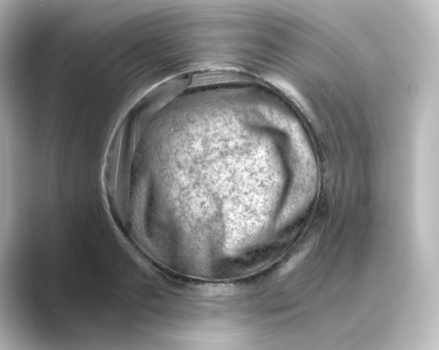 X0000088740893200706212055