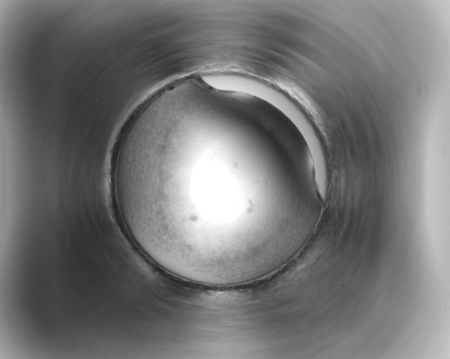 X0000088740894200706212055