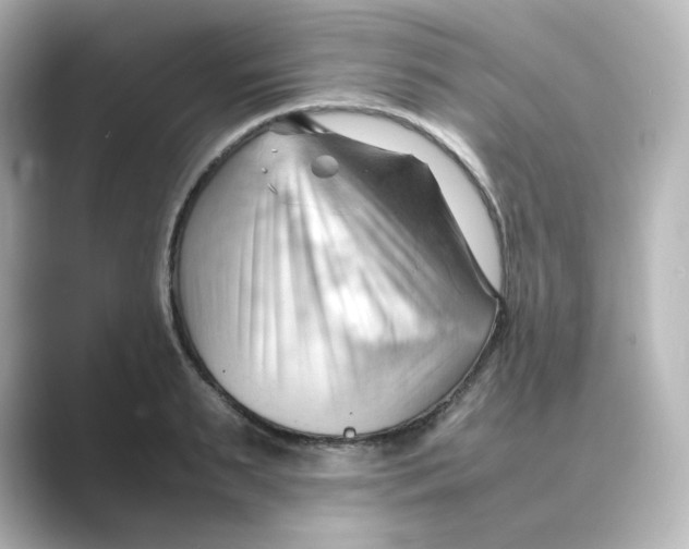 X0000088740895200706212055