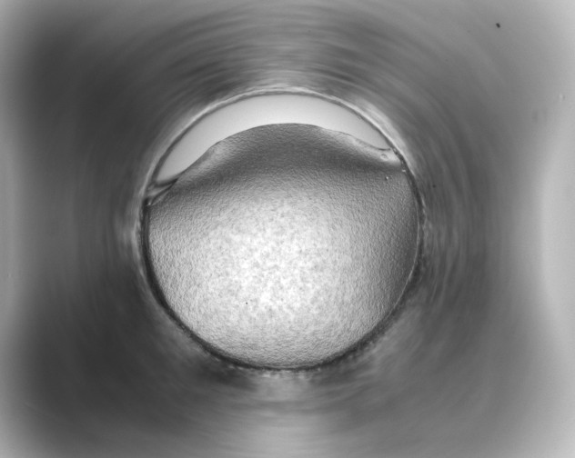 X0000088740901200706212054