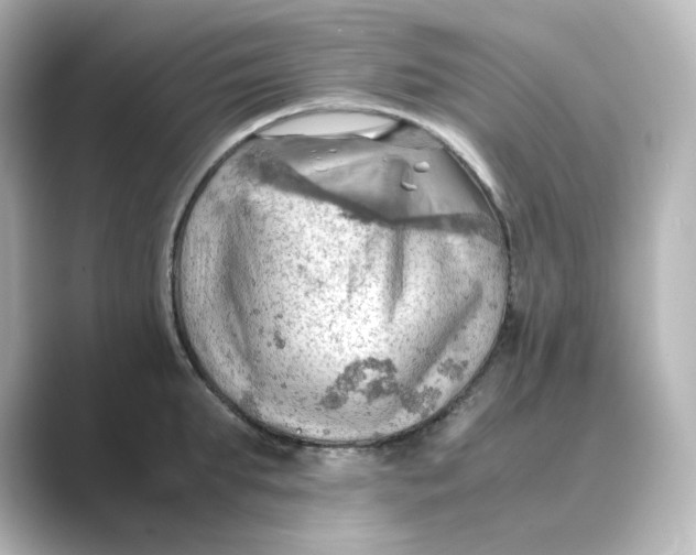 X0000088740903200706212054