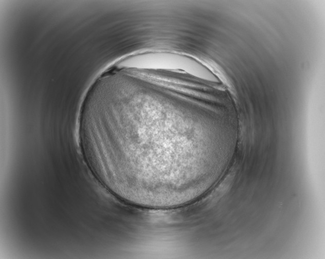 X0000088740904200706212054
