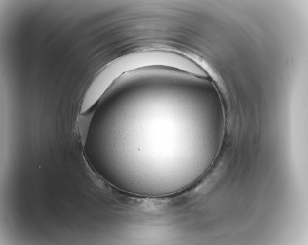 X0000088740905200706212054