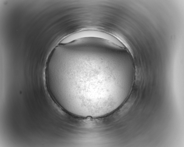 X0000088740906200706212054