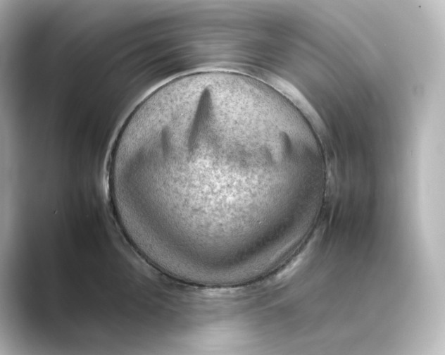 X0000088740908200706212054
