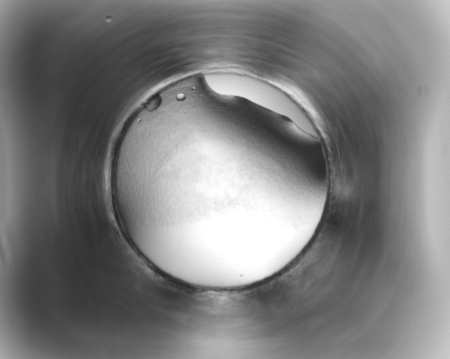 X0000088740910200706212054