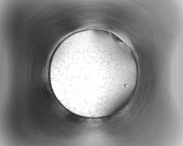 X0000088740912200706212054