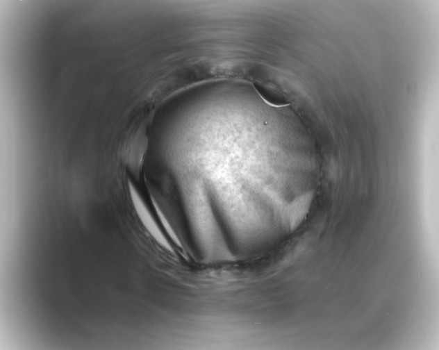 X0000088740914200706212054