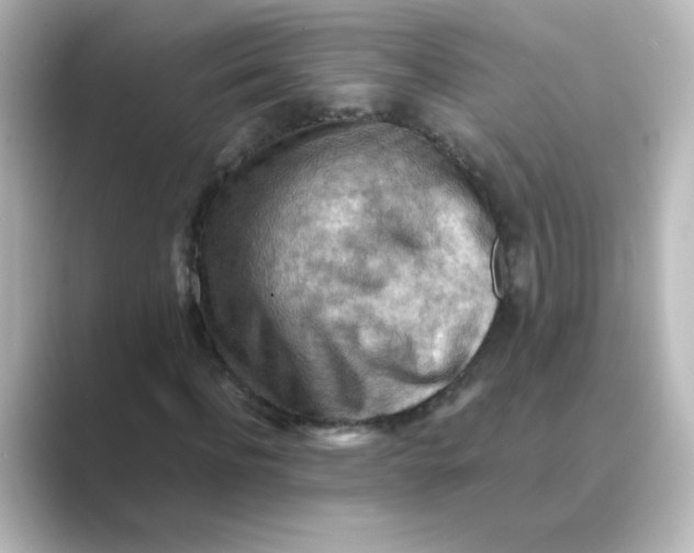 X0000088740916200706212054