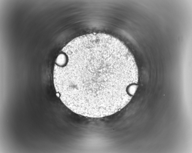 X0000088740918200706212054