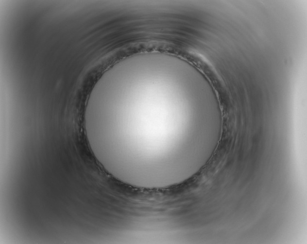 X0000088740919200706212054