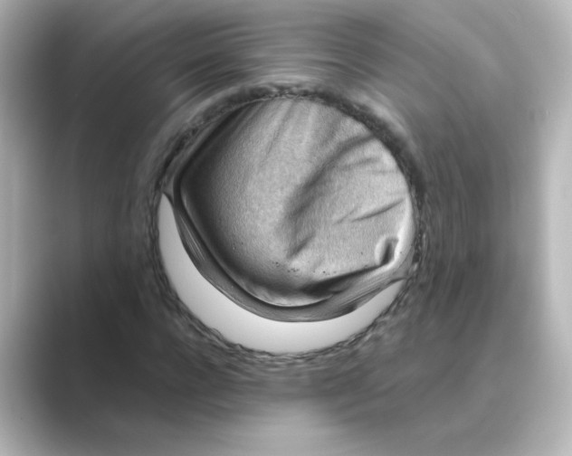X0000088740920200706212054