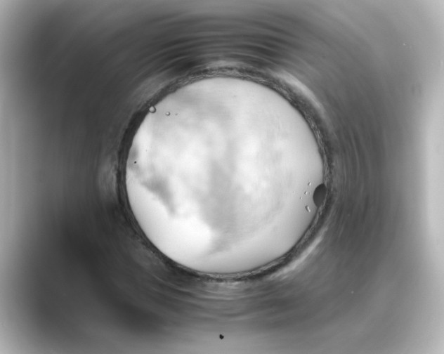 X0000088740921200706212054
