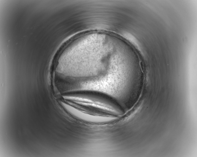 X0000088740924200706212054
